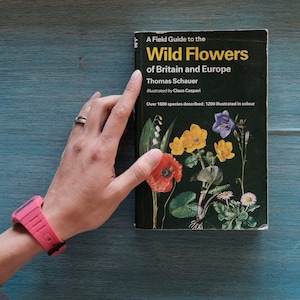 Vintage Britain & Europe wild flower book, flora field guide, botanical, grasses flower illustrations, collage pages, mother&#39;s day gifts