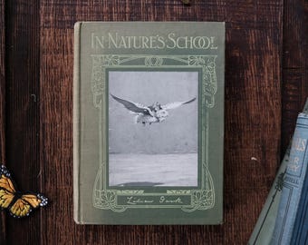 En la escuela de la naturaleza, por Lilian Gask