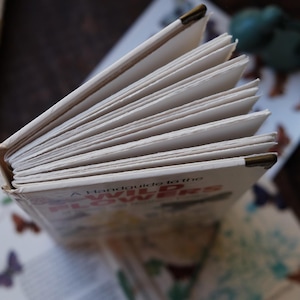 May include: An open book titled "A Handbook to the Wild Flowers" with visible pages and a worn cover. The book is surrounded by other books and stationery with butterfly illustrations, suggesting a nature or botanical theme.