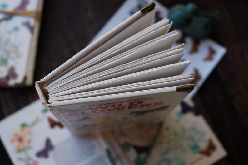 May include: An open book titled "A Handbook to the Wild Flowers" with visible pages and a worn cover. The book is surrounded by other books and stationery with butterfly illustrations, suggesting a nature or botanical theme.