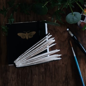 May include: A black journal with a gold moth emblem on the cover, featuring thick, textured, deckled-edge paper pages. Beside the journal are a metal dip pen, a thin paintbrush, and a small metal watercolor paint tin with various colors.