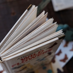 May include: An open vintage book titled "A Handguide to the Wild Flowers" with visible pages. The book has a cream-colored cover with red and yellow lettering. The pages are aged and slightly yellowed, suggesting the book's age.