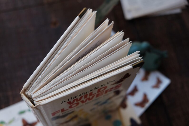 May include: An open vintage book titled "A Handguide to the Wild Flowers" with visible pages. The book has a cream-colored cover with red and yellow lettering. The pages are aged and slightly yellowed, suggesting the book's age.