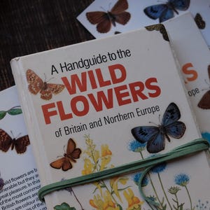 May include: A book titled "A Handguide to the Wild Flowers of Britain and Northern Europe" with butterfly illustrations. The book is bound with a green ribbon and surrounded by butterfly-themed cards.