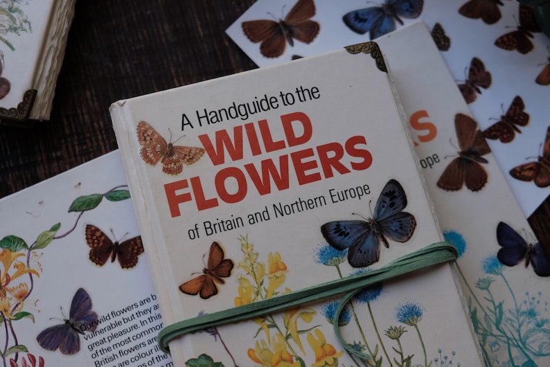 May include: A book titled "A Handguide to the Wild Flowers of Britain and Northern Europe" with butterfly illustrations. The book is bound with a green ribbon and surrounded by butterfly-themed cards.