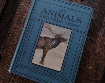 Los animales y sus historias