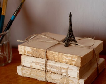 Rustic Book Bundle, Shabby Chic Farmhouse Decor, Unbound Vintage Books