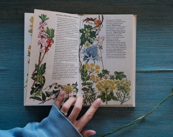 Wild Flowers of Britain and Northern Europe - Old Botanical Book - Vintage Plant Book- Vintage Book Decor - Vintage Gardening Books