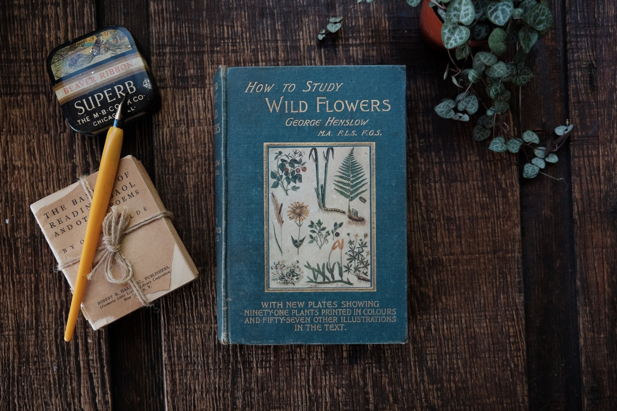 How to study Wild Flowers. by Henslow George,: (1920