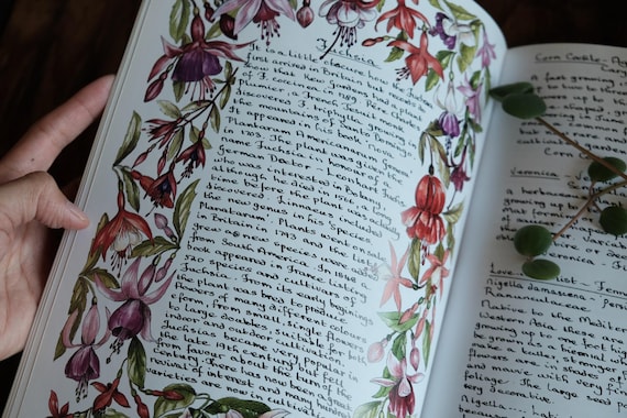 A Beautifully Illustrated Country Garden Book – A Seasonal Journey Through Nature