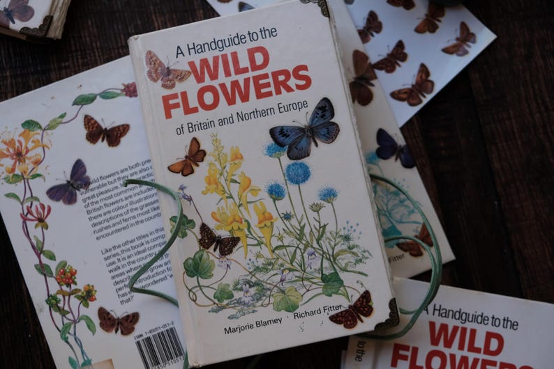 May include: A book titled "A Handguide to the Wild Flowers of Britain and Northern Europe" with illustrations of butterflies and wildflowers. The book is open, revealing colorful images. Other books and butterfly stickers are in the background.