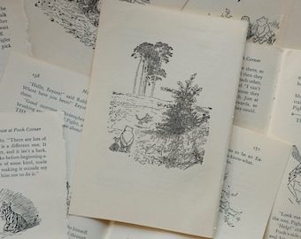 Vintage 1961 Winnie the Pooh Book Pages – Set of 12, Art & Craft Supply