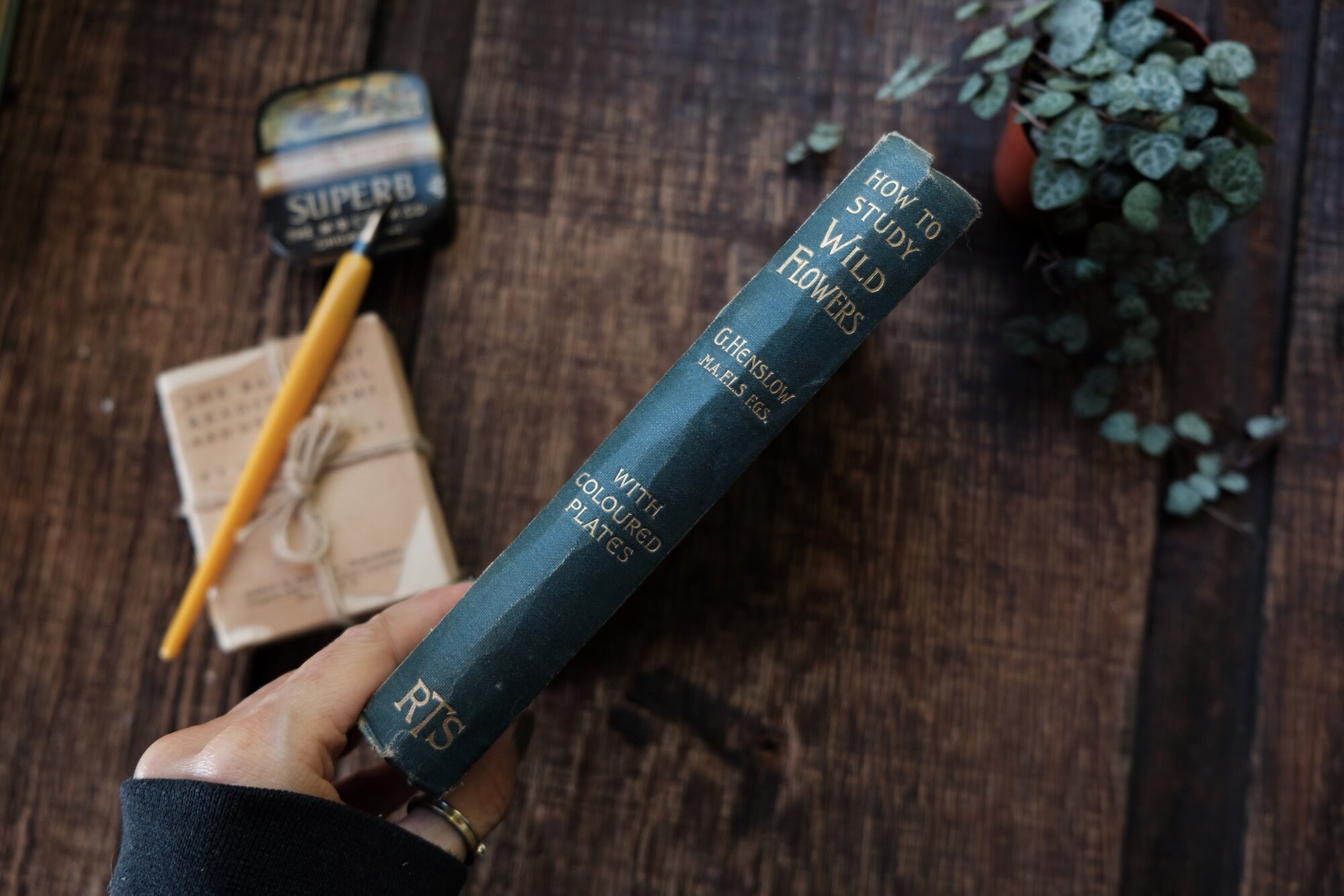 How to Study Wild Flowers: Henslow, George 1835-1925