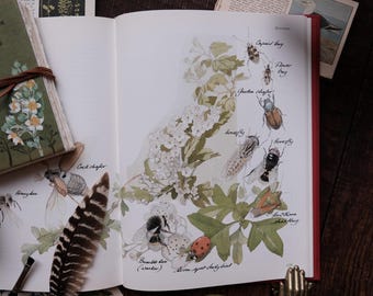 A Beautifully 1980s Nature Book