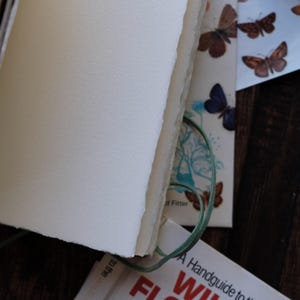May include: Open journal with blank, cream-colored pages and a green elastic closure. The journal is surrounded by pages with butterfly illustrations and text from a book. The pages have a rough, textured edge.