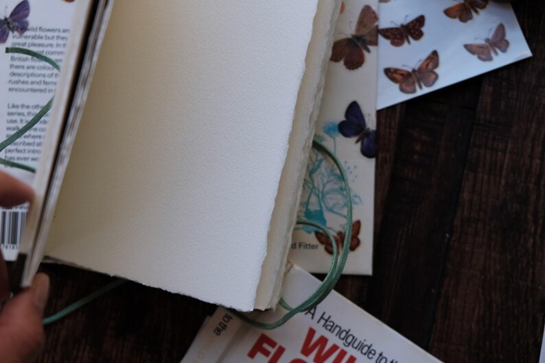 May include: Open journal with blank, cream-colored pages and a green elastic closure. The journal is surrounded by pages with butterfly illustrations and text from a book. The pages have a rough, textured edge.