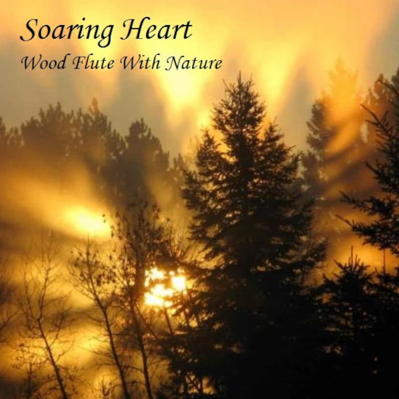May include: A sunrise through the trees with golden light shining through the branches. The text "Soaring Heart Wood Flute With Nature" is at the top of the image.