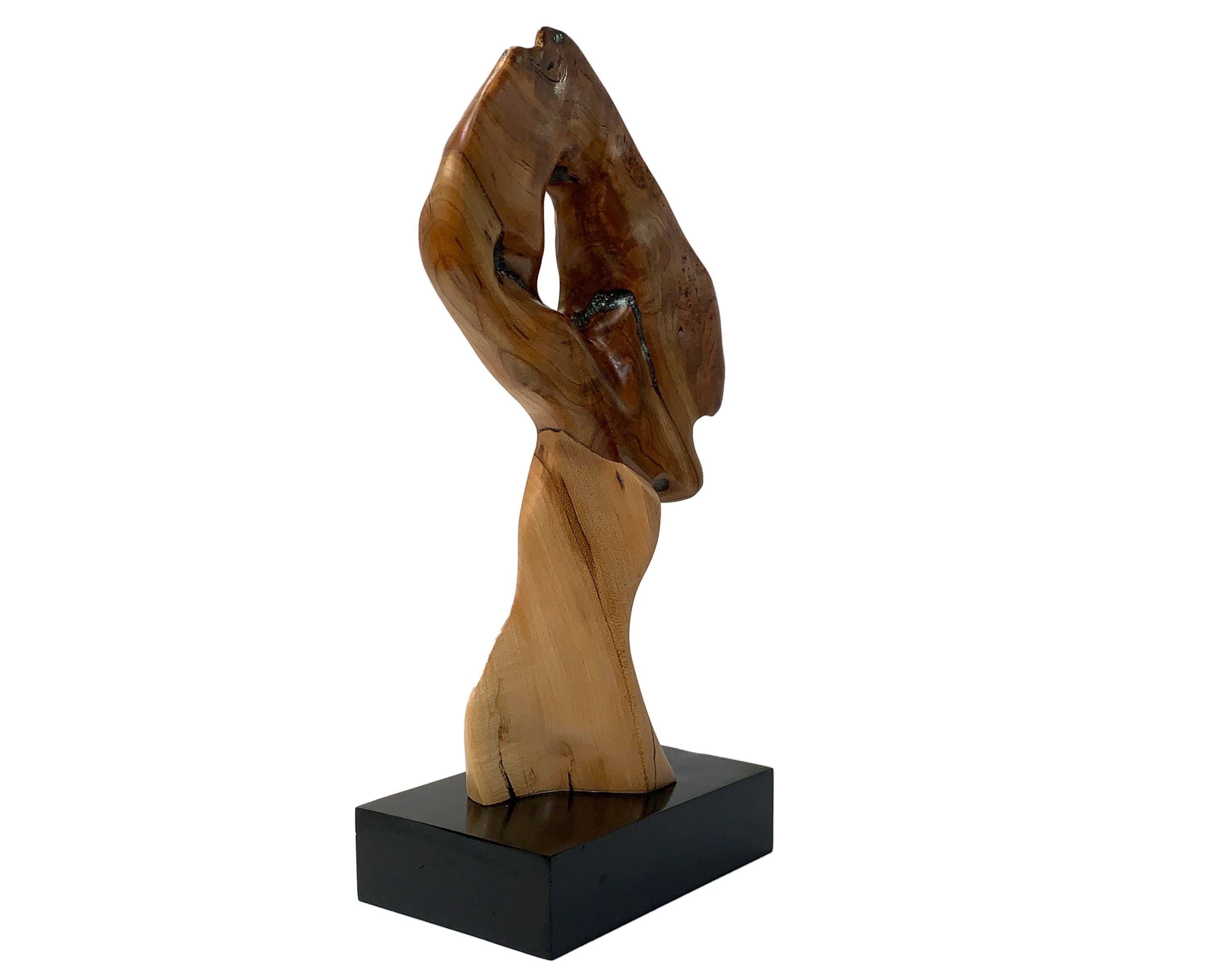 Modern Abstract 3d Wood Sculpture Décor Art Natural Wood