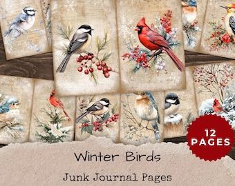Winter Birds Junk Journal Pages - Watercolor Nature Ephemera