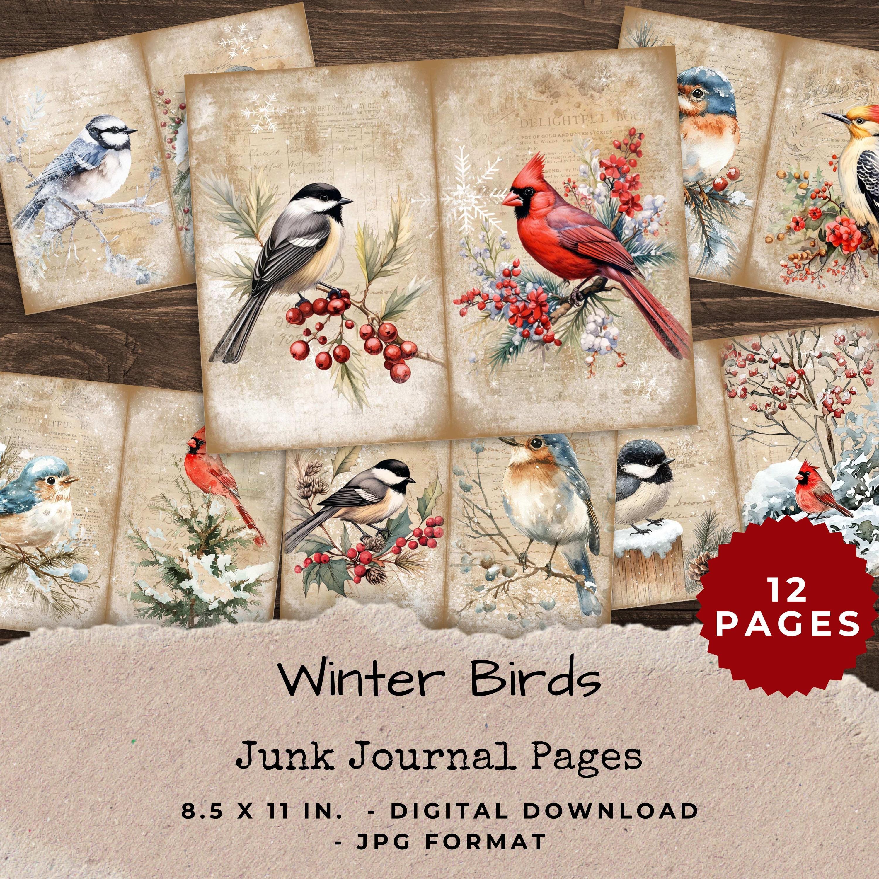 Winter Birds Junk Journal Pages - Watercolor Nature Ephemera - Etsy