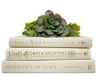 Modern Beige Book Bundle - Books by Color for Home Decor