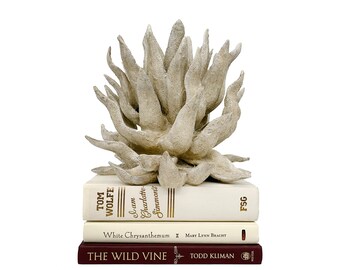 Wine and Beige Decorative Books for Home Decor and Staging Color Bundle - Shelfie Aesthetic Books in Romantic Maroon Vineyard and Cream