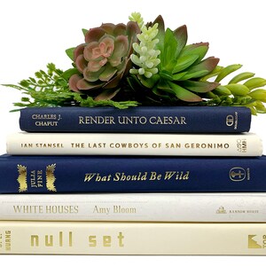 Modern Neutral Book Bundles for Home Decor Beige, Tan and Navy Blue Decadent Decorative Book Collections image 6