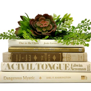 Holiday Decor Vintage Bundle of Books Beige, Ivory, Off White Decorative Books Staging Books Cream Home Decor Stack of Books image 2