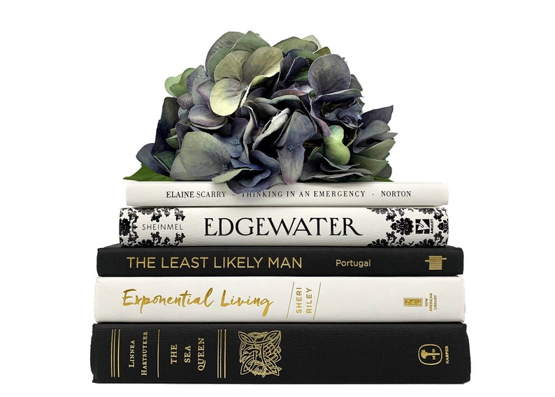 Bundle of Black and White Decorative Books for Staging Books Etsy