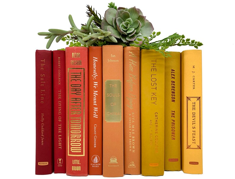Bundle of Decorative Books by the Foot by Color SUNSET EDITION Etsy