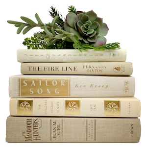 Holiday Decor Vintage Bundle of Books Beige, Ivory, Off White Decorative Books Staging Books Cream Home Decor Stack of Books image 1