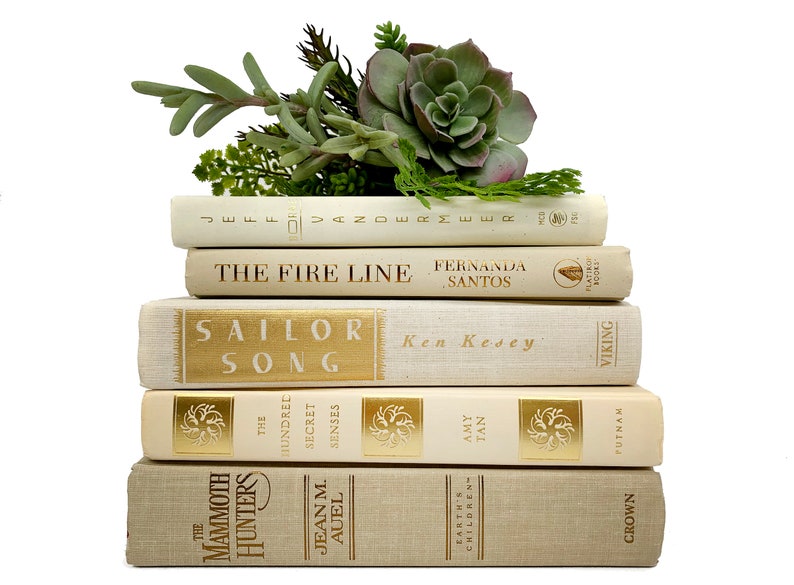 Holiday Decor Vintage Bundle of Books Beige, Ivory, Off White Decorative Books Staging Books Cream Home Decor Stack of Books image 1