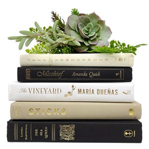 Bundle of Black, Beige, Ivory, Tan, White Decorative Books - Real Hardcover Bookshelf Insert - Holiday Decor Vintage Stack of Books