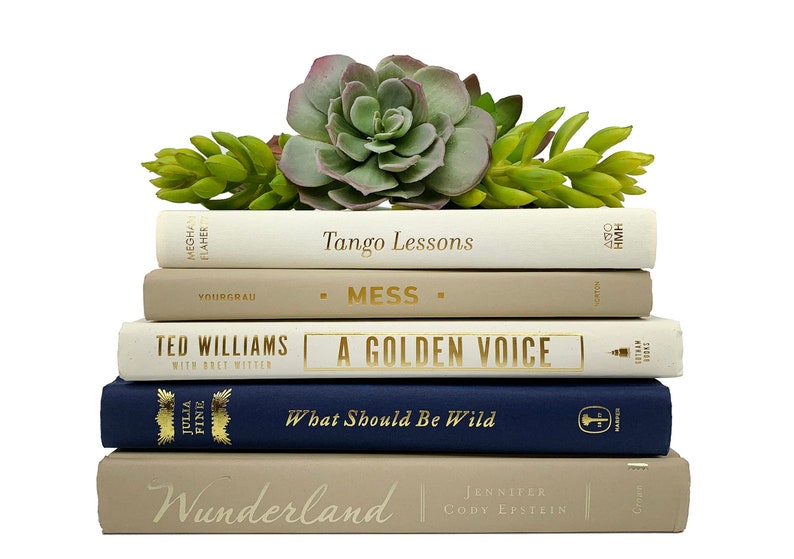 Modern Neutral Book Bundles for Home Decor Beige, Tan and Navy Blue Decadent Decorative Book Collections image 1