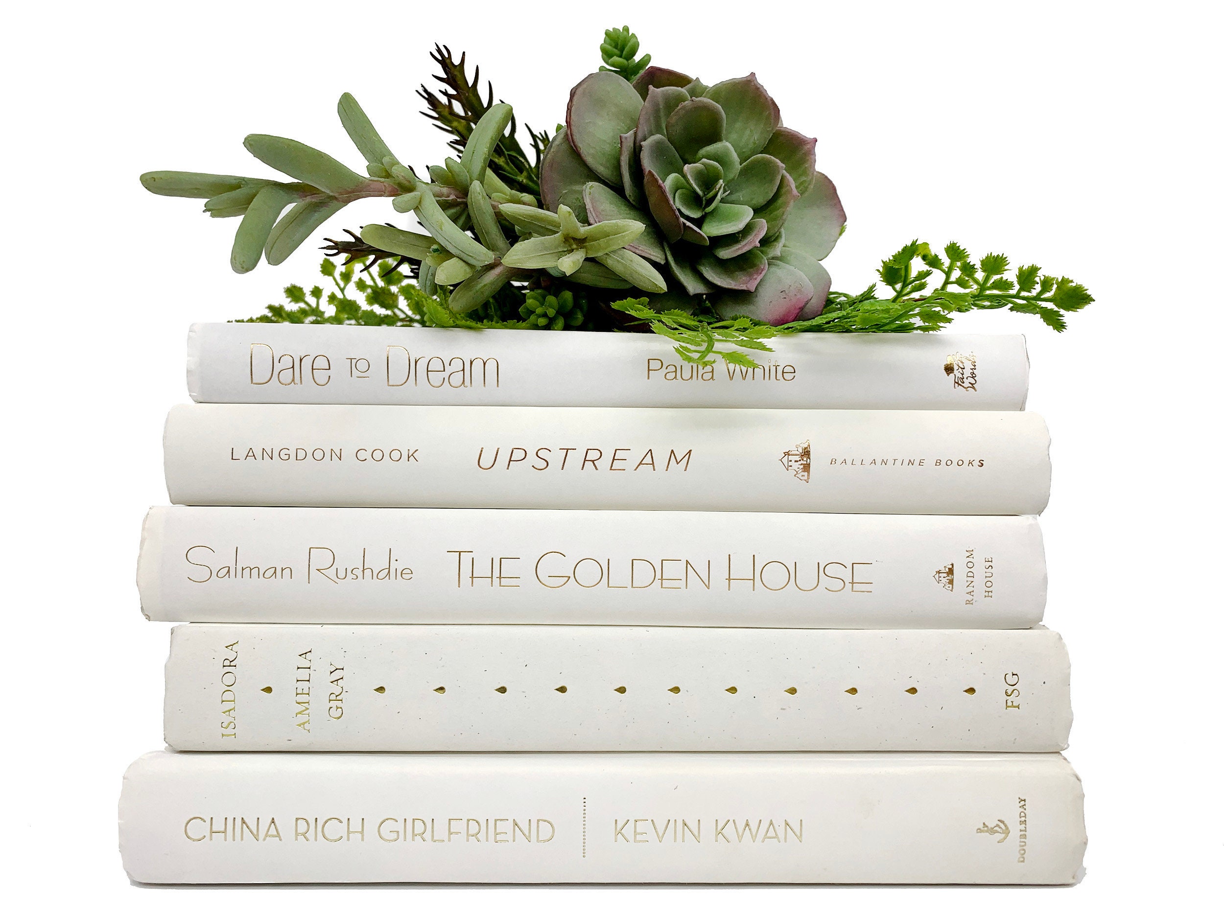 Aesthetic Books Bundle of White Ivory Decorative Books with Etsy