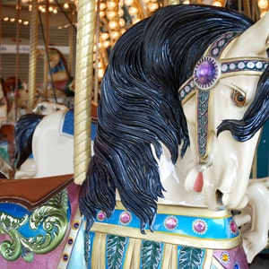 7 x 5 Carousel Horse - Original Photography Print, Wall Decor
