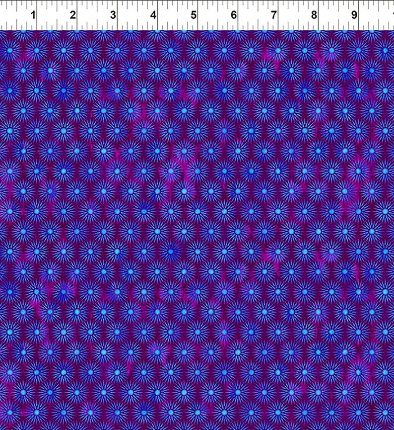In Ranking TOP19 the Beginning - Cosmos Suns 2021 new Fabric Purple 8COS1