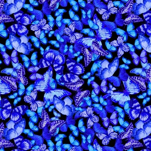 Timeless Treasures Black Butterflies CD1838, Black Midnight Butterflies Dance, Blue and Purple Butterflies