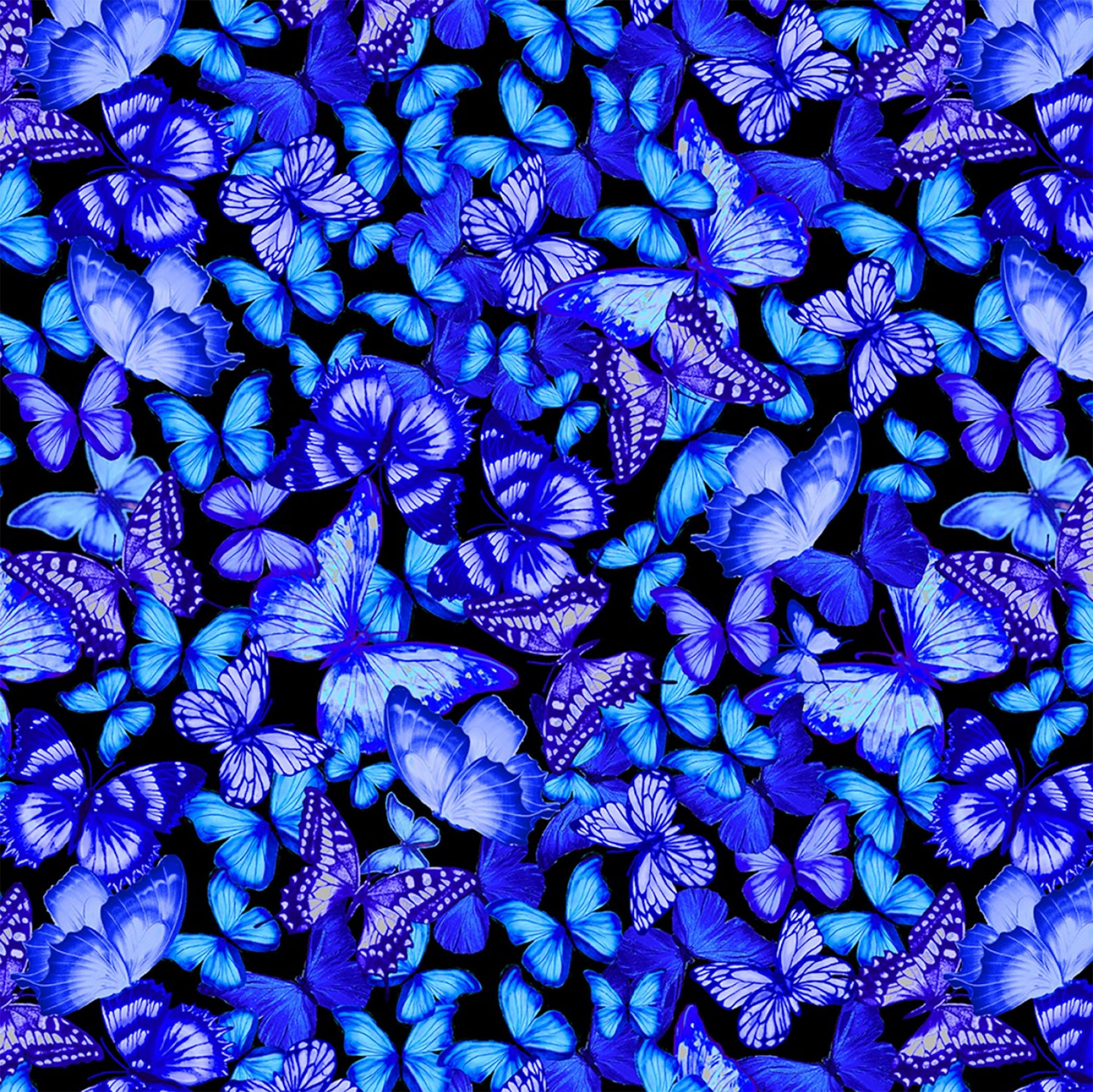 Cosmic Butterflies by Timeless Treasures - Etsy