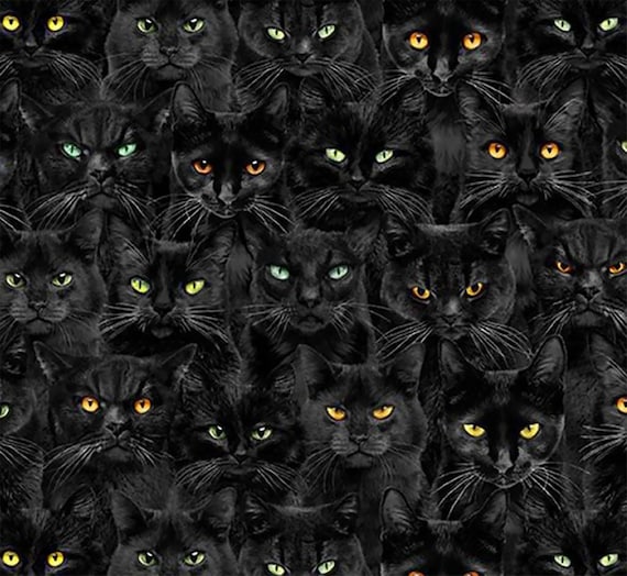 Timeless Treasures Black Wicked Black Cats Magic CD1831-BLACK