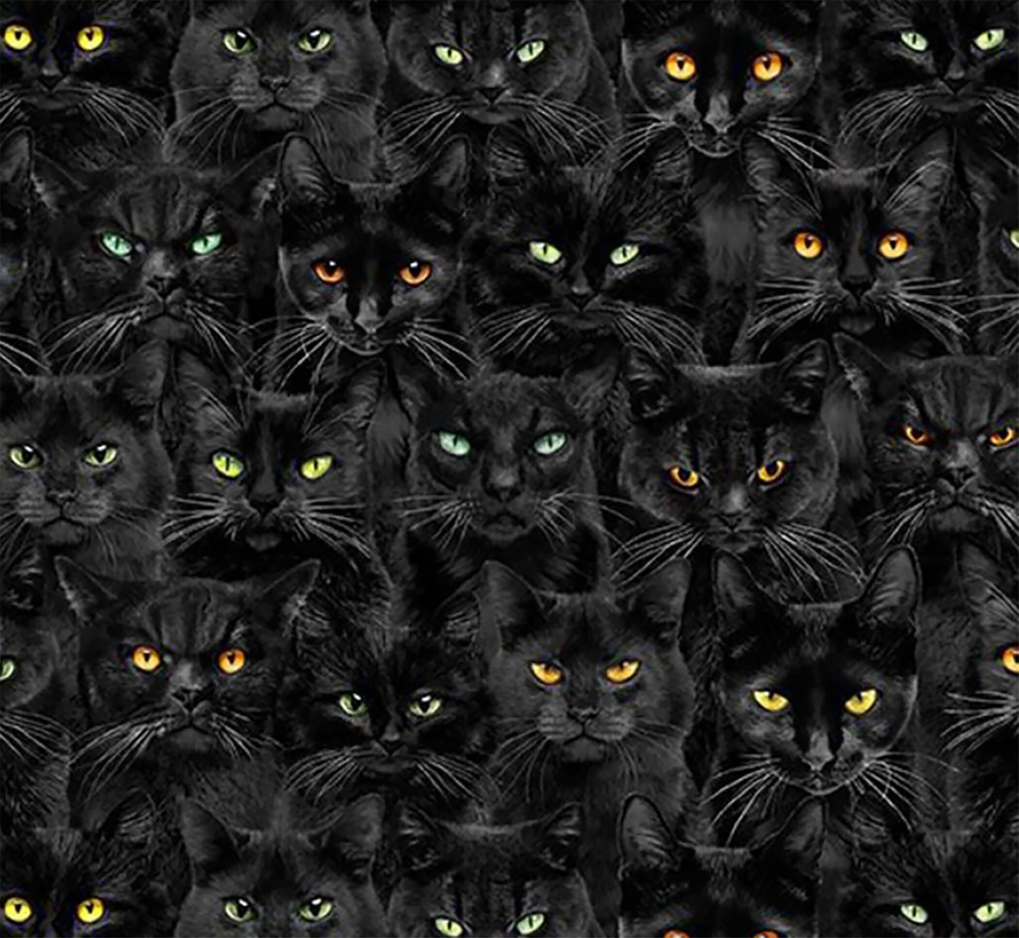 稀少4CDR/BLACK CATS&MAGIC 2017 Timeless Treasures Black Wicked Black Cats Magic CD1831-BLACK