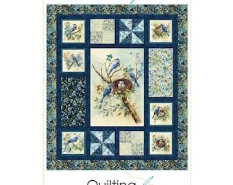 Quiltmuster - Boxed In, A Confident Beginner Pieced Quilt, von Kari Nichols, Quilting Renditions, 58,5 "x 68,5" Papiermuster