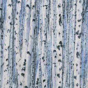 Op de afbeelding: Een abstract schilderij van een berkenbos. De verticale boomstammen zijn wit met zwarte markeringen en een vleugje blauw. De achtergrond heeft een zacht, wazig effect, waardoor een gevoel van diepte en rust ontstaat. Het kleurenpalet is koel en gedempt.