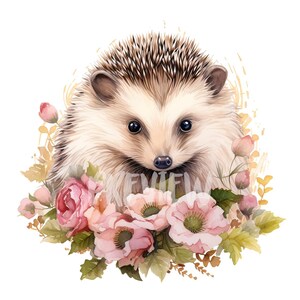 Ensemble de cliparts hérisson aquarelle : 8 fichiers PNG de haute qualité pour le scrapbooking, les journaux numériques, les produits imprimables et une utilisation commerciale - téléchargement numérique