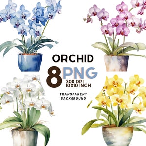 Orchid in a Pot watercolor clipart: 8 HIGH-Quality PNGs for Botanical Prints, Digital Journaling, Scrapbooking, and Digital download