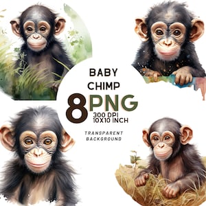 Clipart aquarelle bébé chimpanzé : 8 PNG de haute qualité 300 DPI - jungle d'Amérique du Sud - usage commercial, téléchargement immédiat