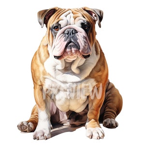 Bulldog Watercolor Clipart: 8 Premium PNGs for Scrapbooking, Digital Journals, and Printables - Instant Download with Commercial Use