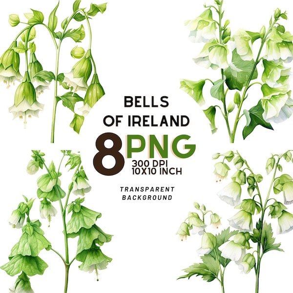 Bells of Ireland watercolor clipart: 8 High-Quality 300 DPI PNGs, Botanical Print, Digital Journal, Printable Commercial Use