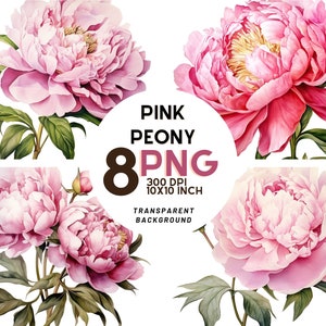 Pink Peony Clipart - 8 Quality PNGs, Botanical Print, Digital Journal, Printable with Commercial Use, Digital Download