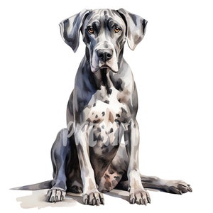 Watercolor Great Dane Dog Set: 300DPI PNGs for Scrapbooking, Digital Journals, Printables, and Commercial Use - Digital Download